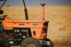 DOK-RK-202