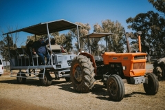 DOK-RK-22