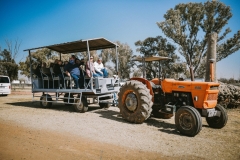 DOK-RK-25